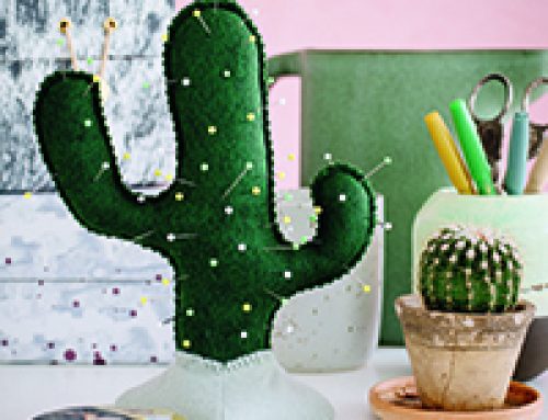 Cactus – Prickly Pincushion